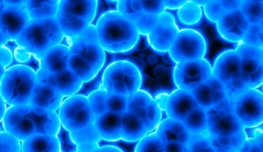 MIT research finds the emergence of cooperative cell clusters depends on cells encountering each other and aggregating on the surface of polysaccharide particles.