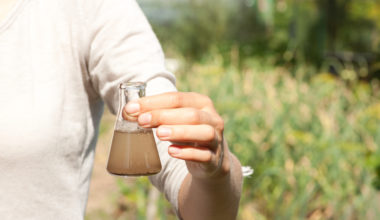 A scientist standing in a field of grass holds a flask filled with a brownish liquid.